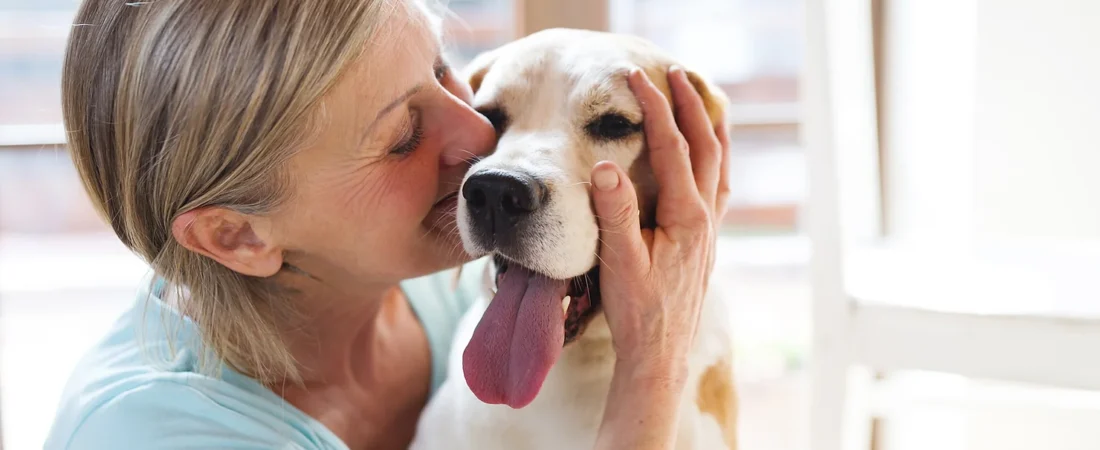 Adopting an Older Dog: Benefits, Downsides, and Finding the Perfect Match